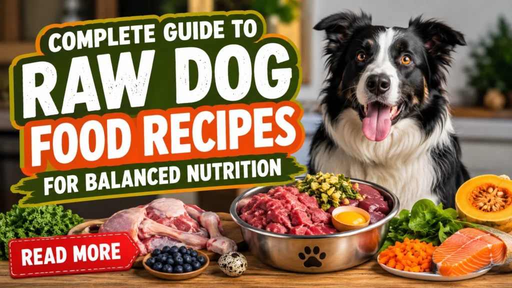 Complete Guide to Raw Dog Food Recipes for Balanced Nutrition