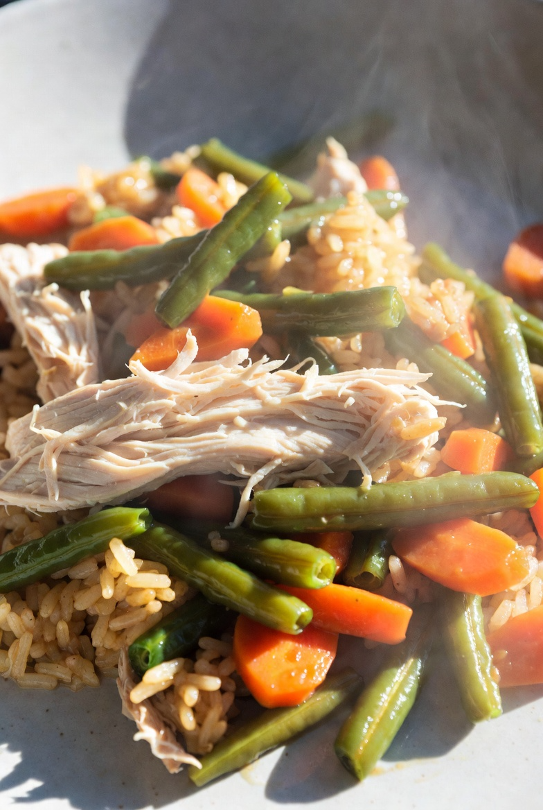 Salmon & Rice Omega Balance