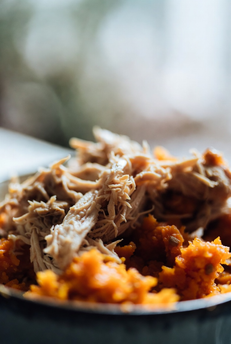 Whitefish & Rice Gentle Bowl